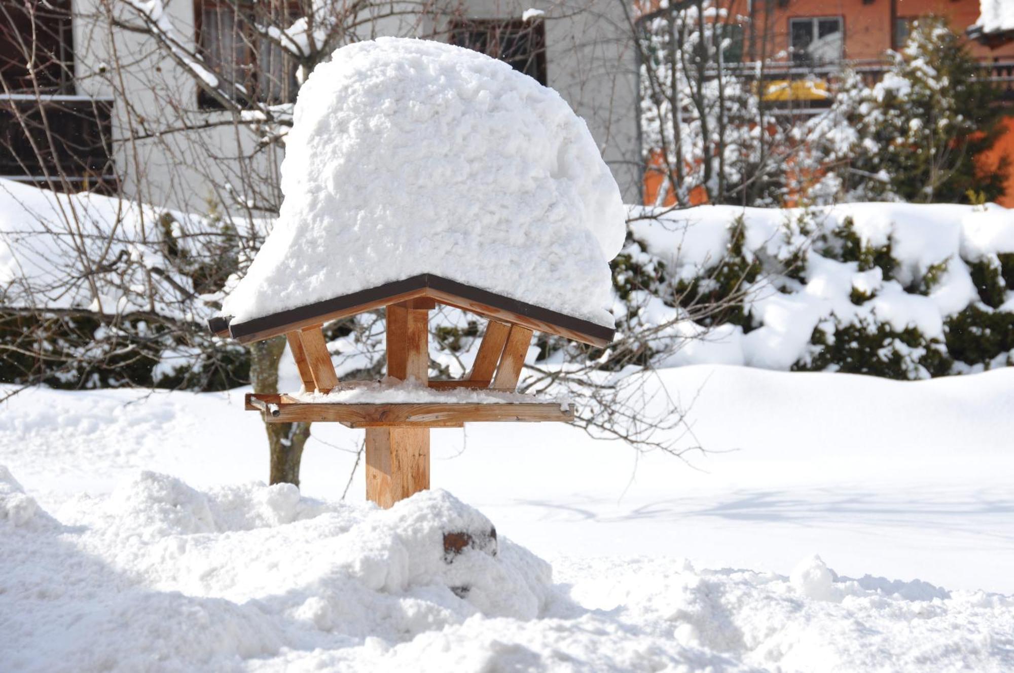Pension Schmidinger Kitzbühel Exterior foto
